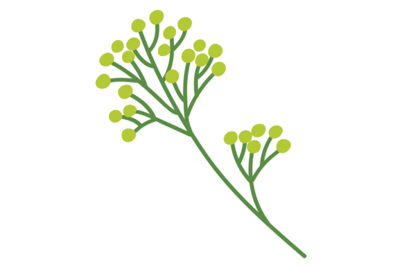 Blooming Branch Decorative Botanical Element