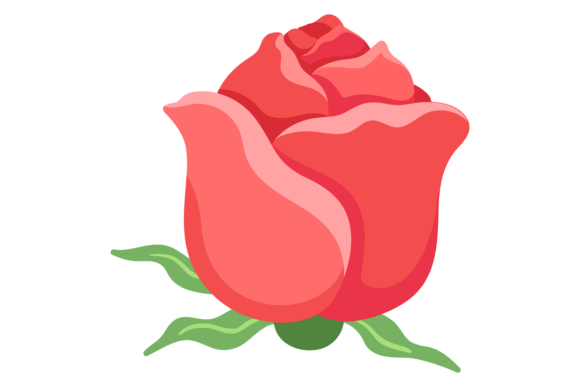 Blooming Red Rose. Decorative Botany. Fl