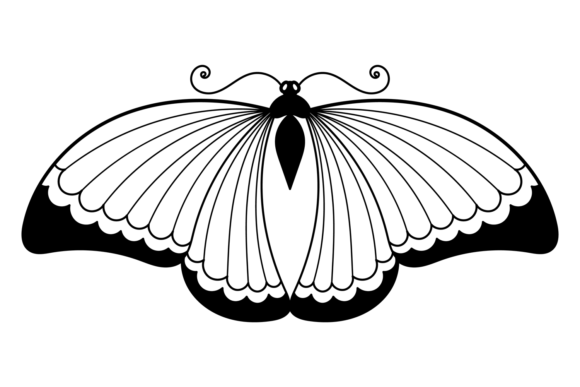 Butterfly Ink Drawing: Decorative Elegance in Art