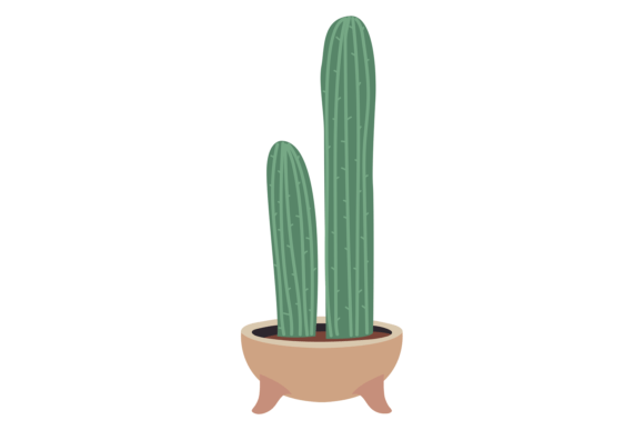 Cactus Pot. Decorative Home Botany. House