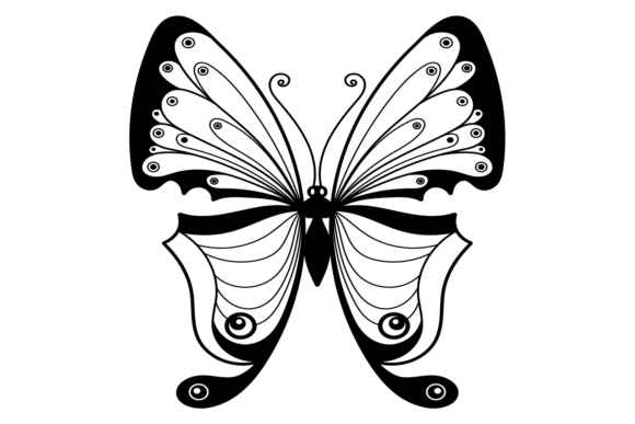 Decorative Moth with Black Ornament Wing: A Symbol of Elegance and Meaning