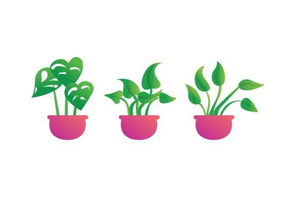 Flower Fast Decorative: A Practical Tool for Creative Workflows and Design Projects