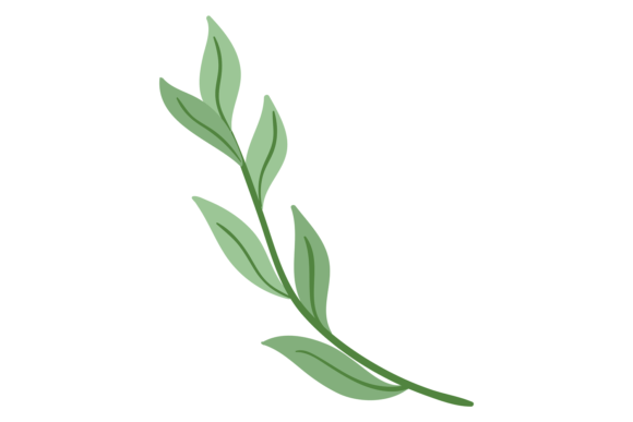 Green Branch. Decorative Botanical Element: A Versatile Design Solution for Modern Spaces