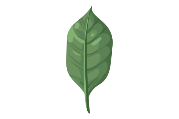 Green Leaf. Floral Decorative Element. N – A Versatile Design Asset for Modern Creativity
