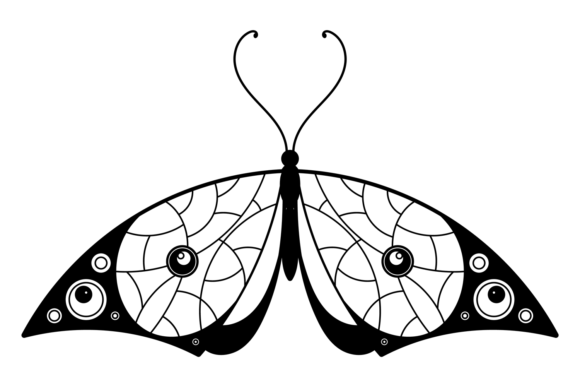 Patterned Wings Moth: Decorative and Elegant