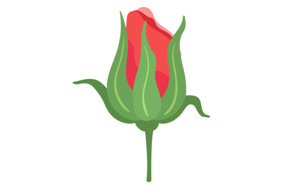 Red Rose Bud: A Symbol of Beauty, Meaning, and Design Versatility